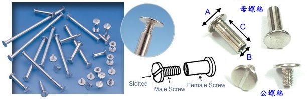 rivet screw